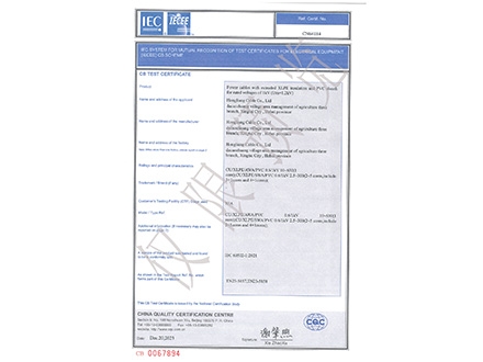 CB认证证书0.6/1kV YJV32(CU/XLPE/SWA/PVC)